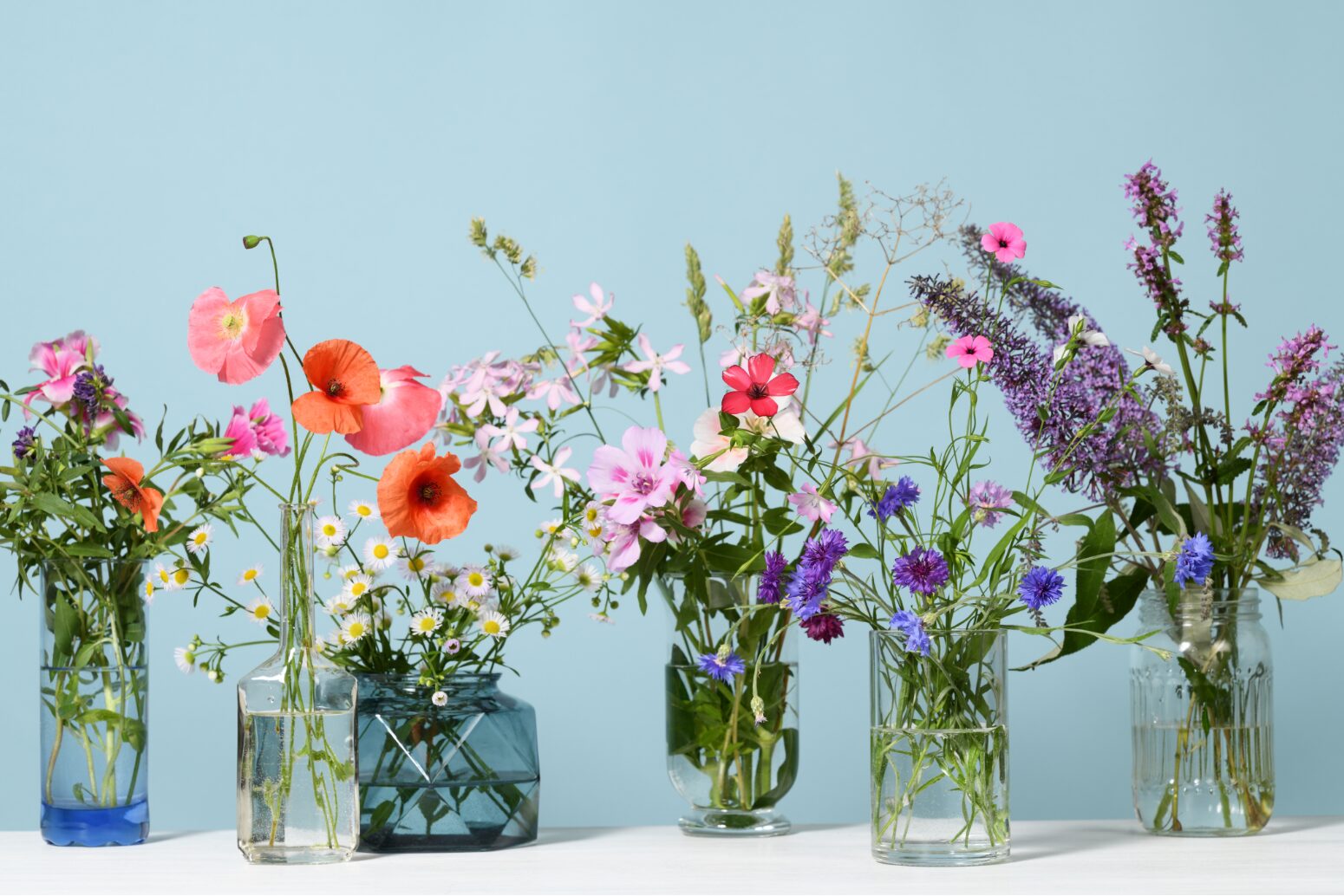 定期便季節花アレンジメント